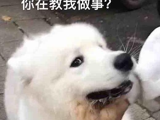 占坑。。（个人主页-ZNTAzMDQ2NzI=） - 包装 - 站酷设计师执笔夕念原创素材 - 站酷ZCOOL