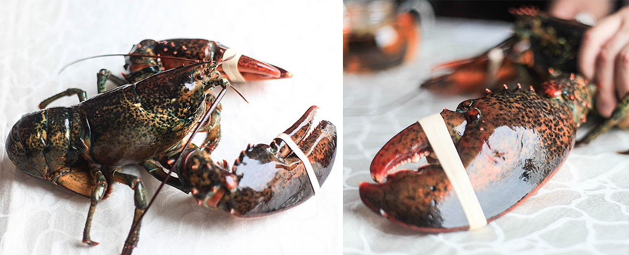 【美食摄影】波士顿龙虾 玖食龙虾馆