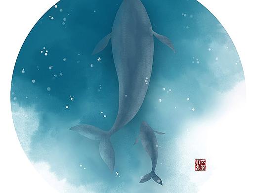 海中精灵——蓝鲸插画