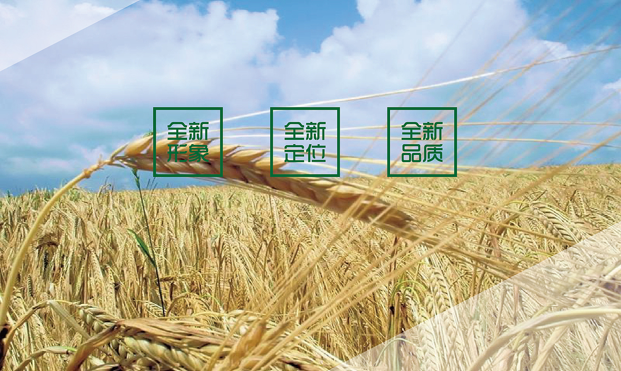 鑫邦生物质资源/能源LOGO（图ZMjkzNzAzMzY=） - 品牌 - 站酷设计师隐山I品牌策划I原创素材 - 站酷ZCOOL