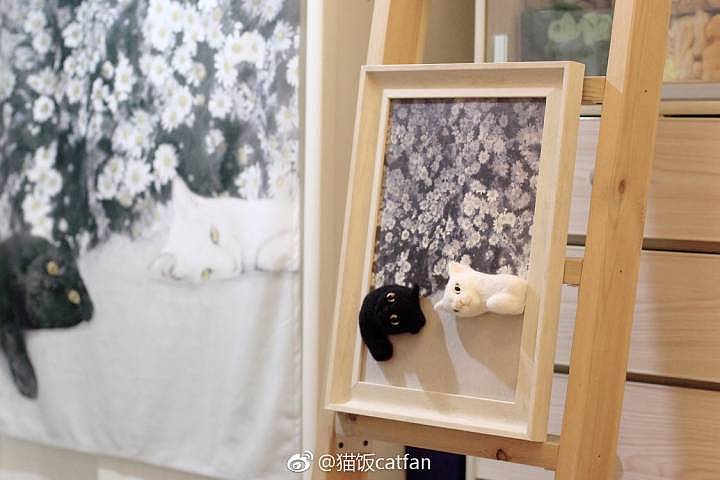 羊毛毡黑猫白猫