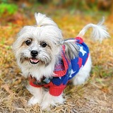 meet_nan的头像