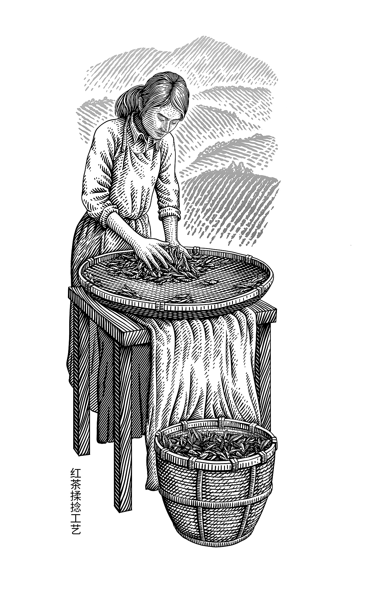 手绘插画让茶·高山茶版画风格包装（图ZMjk2MDY2MTI0） - 商业插画 - 站酷设计师欧阳鹏杰_OY原创素材 - 站酷ZCOOL