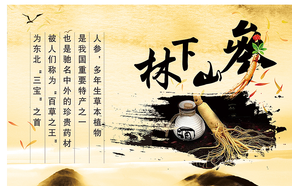 线下门店——KT板药材展示物料