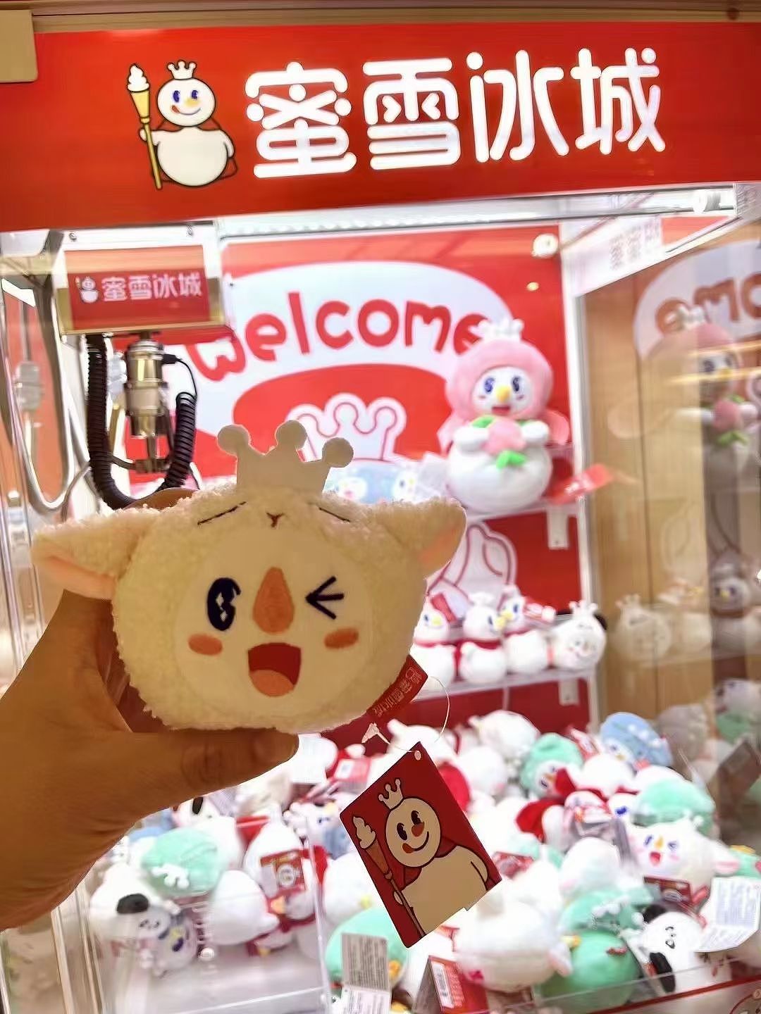 大康战略-品牌日课:蜜雪展