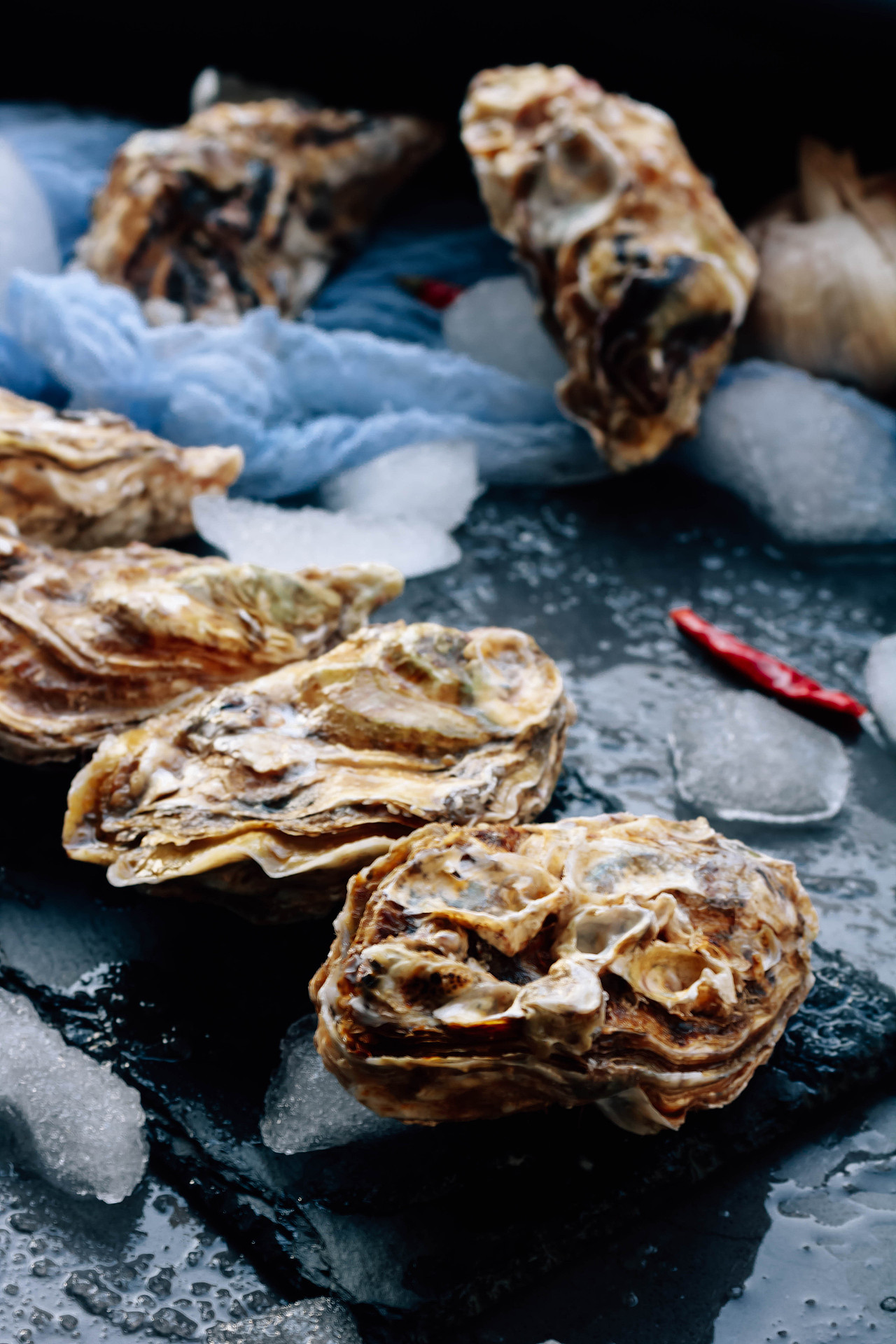 生蚝 海蛎子肉（图ZMjg0NDk0MjQw） - 产品摄影 - 站酷设计师独木桥的午后阳光原创素材 - 站酷ZCOOL