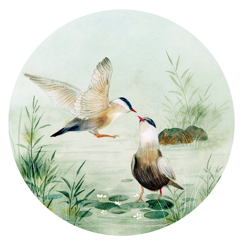 2019年终插画总结（图ZMTkxNDE0NTcy） - 商业插画 - 站酷设计师瑶背背原创素材 - 站酷ZCOOL