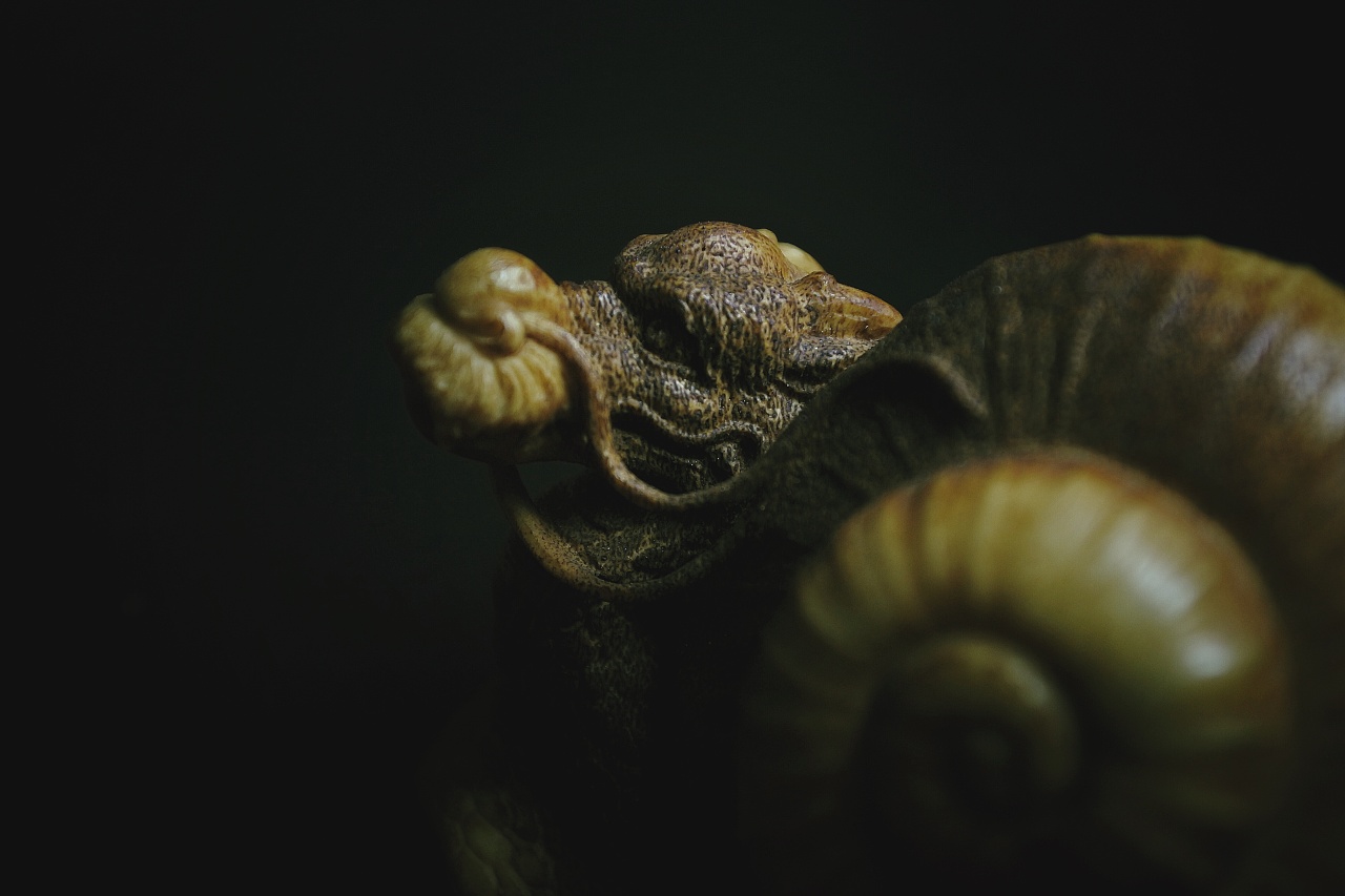 潜龙在渊,卧龙.