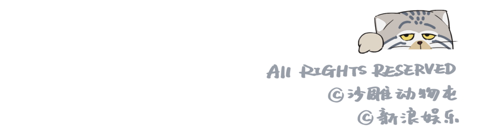 IP条漫汇总 2（图ZMjYwMDI2MzI0） - 短篇/格漫 - 站酷设计师画画的平头小百姓原创素材 - 站酷ZCOOL