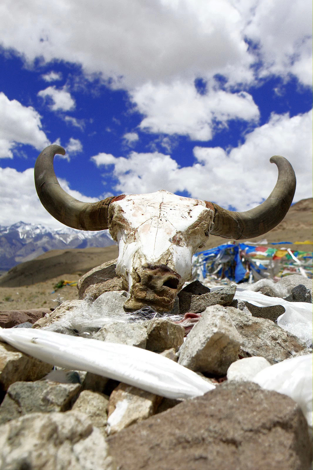 骑行新藏线·风景篇二