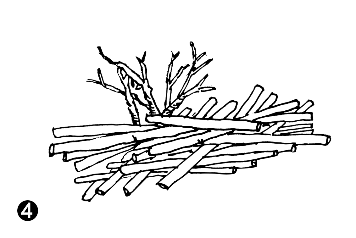 木头的简笔画卡通图片
