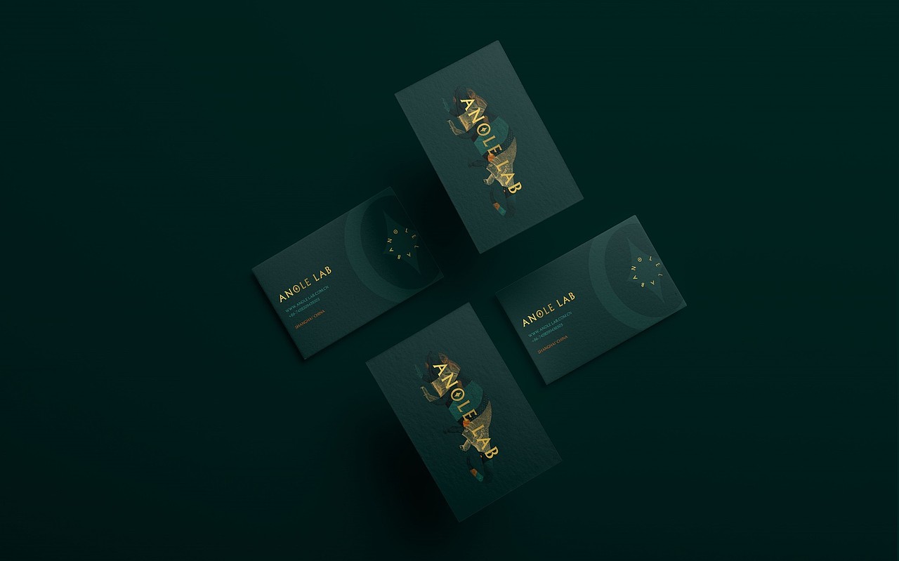 ANOLE LAB（图ZMjE2ODUzOTQ4） - 品牌 - 站酷设计师ANNND共和设计原创素材 - 站酷ZCOOL