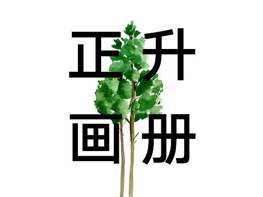 正升声学-画册