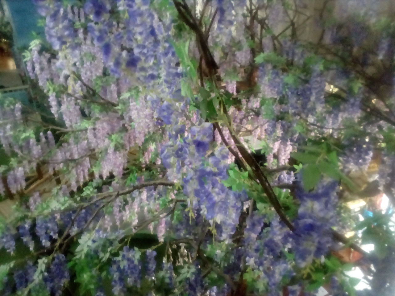 婚纱艺术摄影空间装饰规划（图ZMjUxMjkwNTc2） - 景观设计 - 站酷设计师让中国拥有世界原创素材 - 站酷ZCOOL