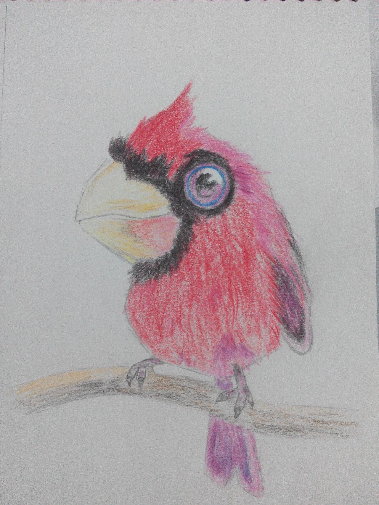 菜鸟手绘（图ZNDk5MjMyMTY=） - 绘本 - 站酷设计师少年白与布偶猫原创素材 - 站酷ZCOOL