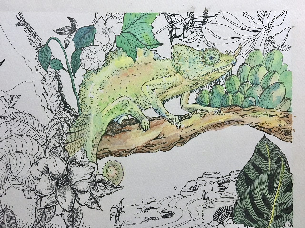 我爱【热带雨林】系列之一