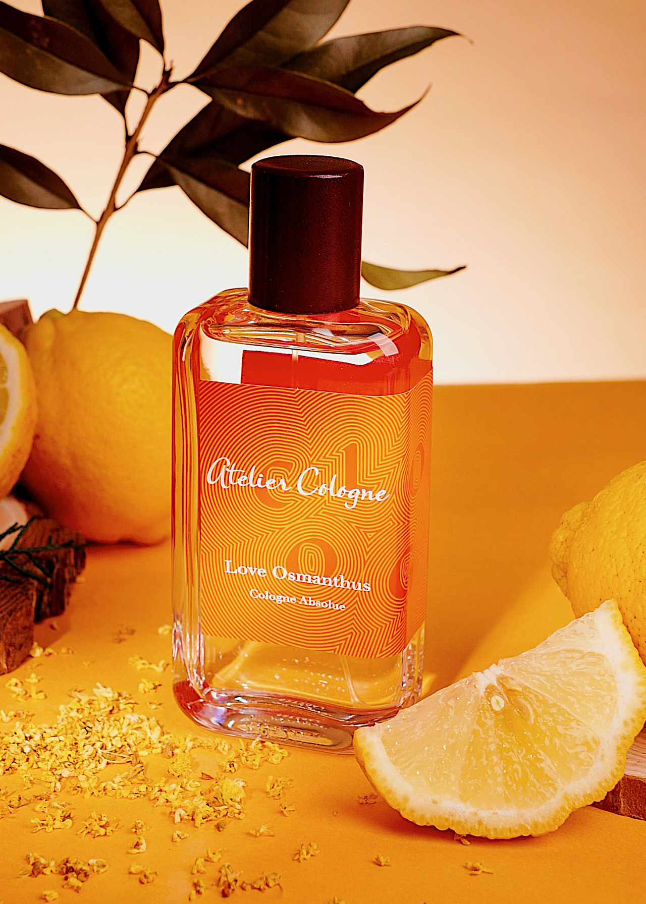 欧珑香水-桂香月夜 拍摄|摄影|产品摄影|wen_kwok - 原创作品 - 站酷