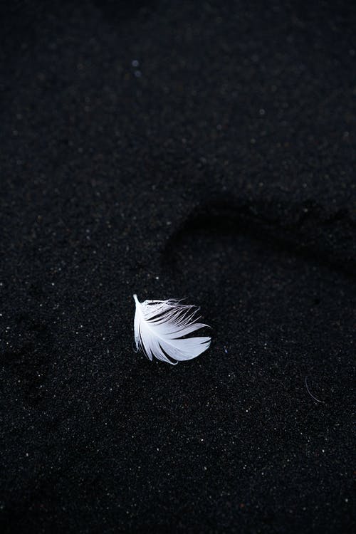 T村上的樹(shù)的個(gè)人主頁(yè)（背景預(yù)覽） - 主頁(yè)背景設(shè)置 - 站酷設(shè)計(jì)師T村上的樹(shù)原創(chuàng)素材 - 站酷ZCOOL