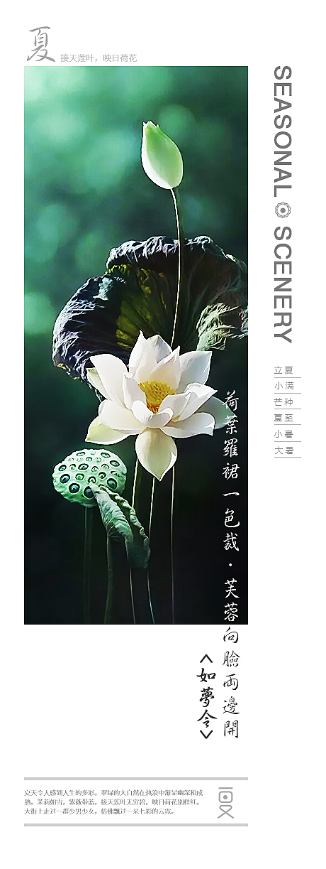 四季之美-原创风景组图（图ZNDg2ODE0ODg=） - 海报 - 站酷设计师管娟原创素材 - 站酷ZCOOL