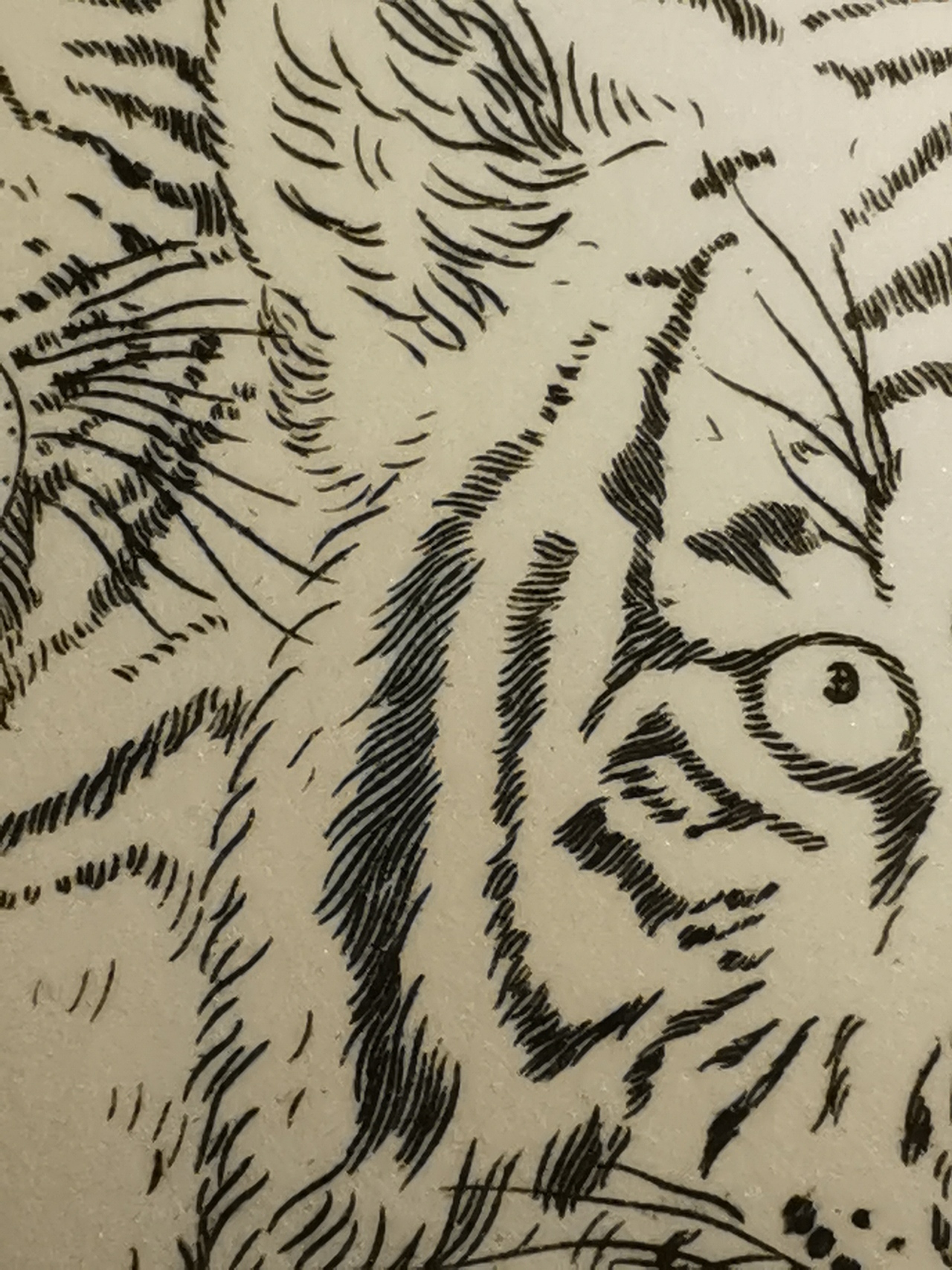 凹版雕刻《壬寅虎》