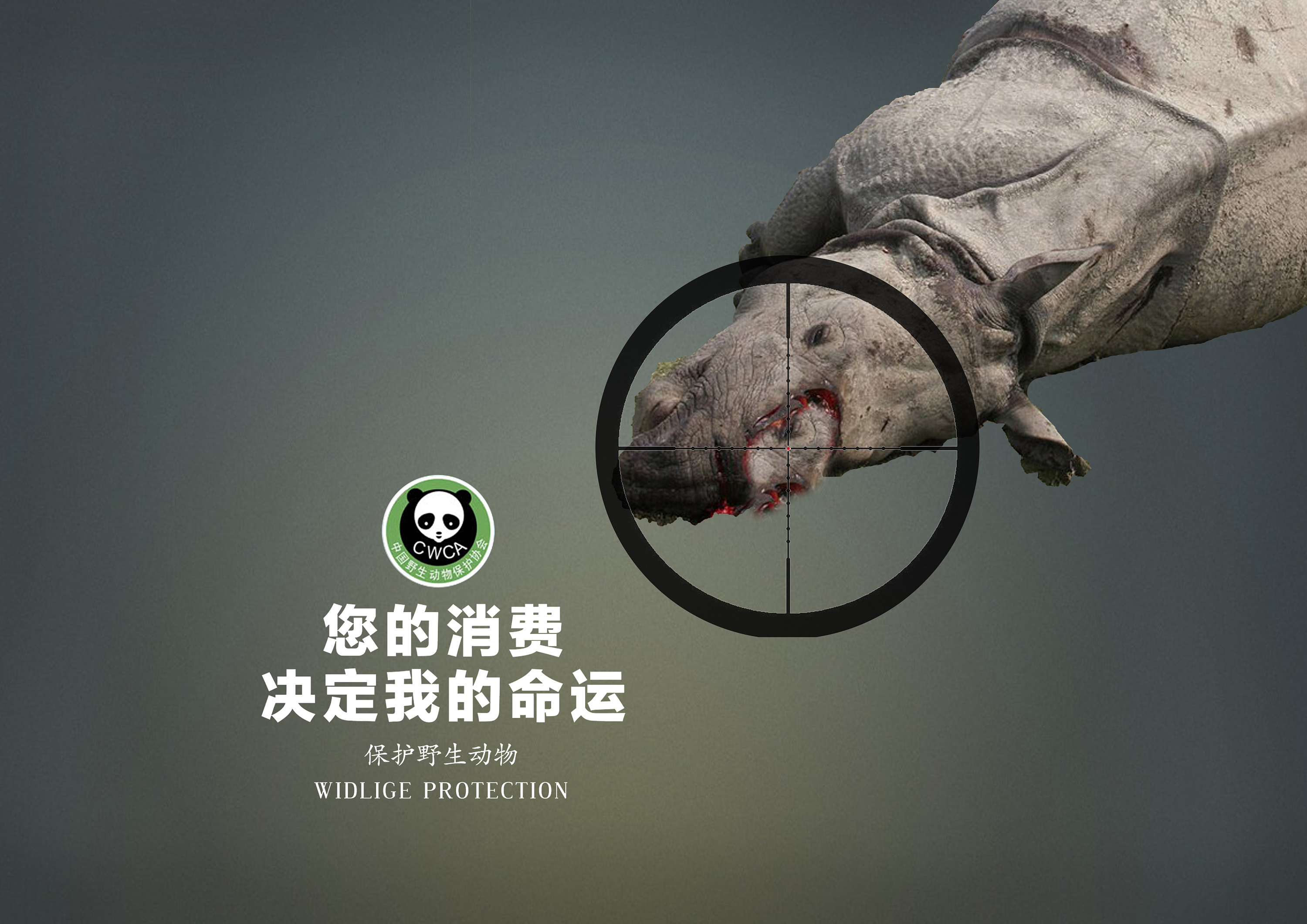 犀牛皮鞋--保护生态环境