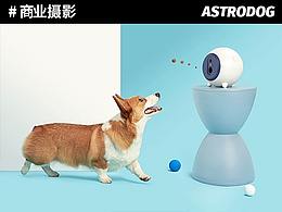 宠物摄影