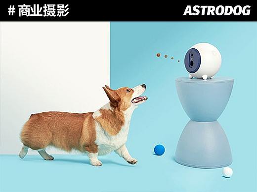 宠物产品摄影 CCPET智能逗宠球
