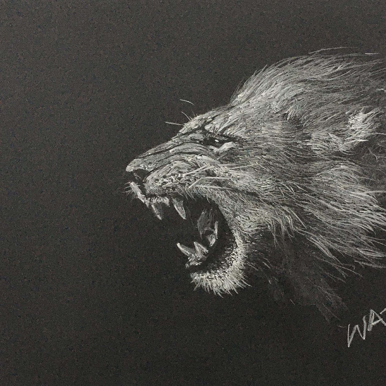 黑板粉笔画狮子王