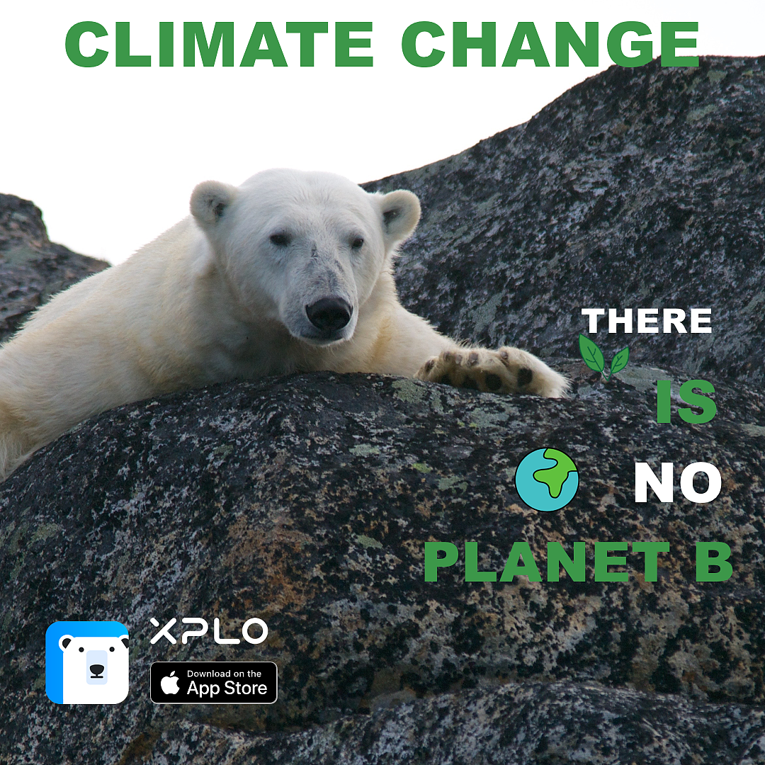 社交im即时聊天app推广海报15张（图ZMTgwMTg4OTg4） - 海报 - 站酷设计师teddyte原创素材 - 站酷ZCOOL