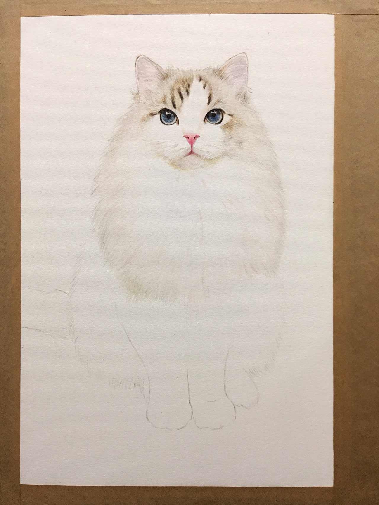 彩铅布偶猫（图ZODU2Njc5MTI=） - 绘画 - 站酷设计师一大波喵子原创素材 - 站酷ZCOOL