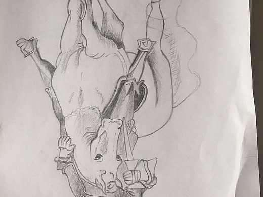 疫情期间跟着《像艺术家一样思考》练习的倒画