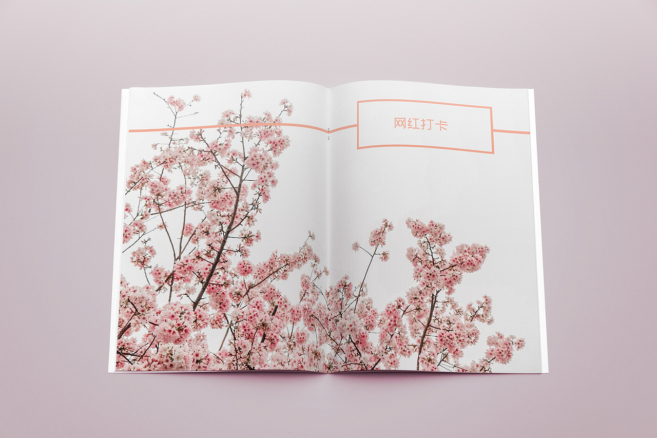 杂志三（图ZMTcxODc2MTg4） - 书籍/画册 - 站酷设计师一一是只汪原创素材 - 站酷ZCOOL