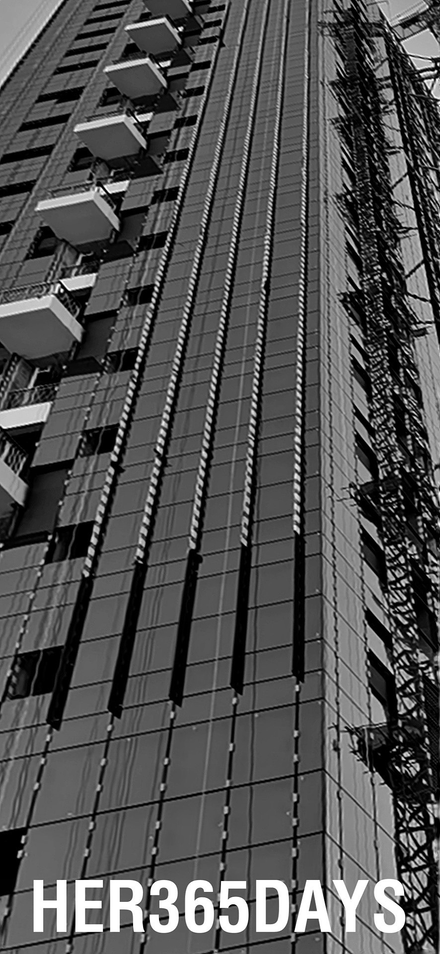 H3D 摄影集| CXSD building