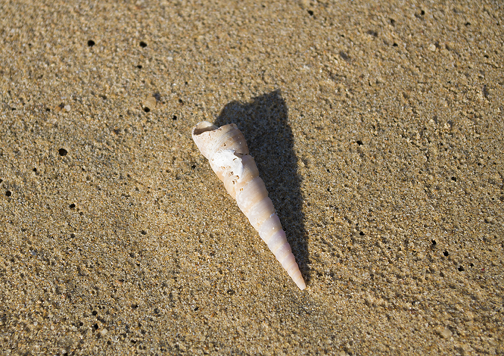 三亚三亚湾拍摄（图ZODEyNTExNjA=） - 风光摄影 - 站酷设计师宝藏凡原创素材 - 站酷ZCOOL