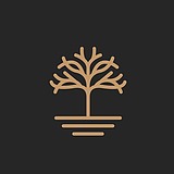 战歌小树的头像