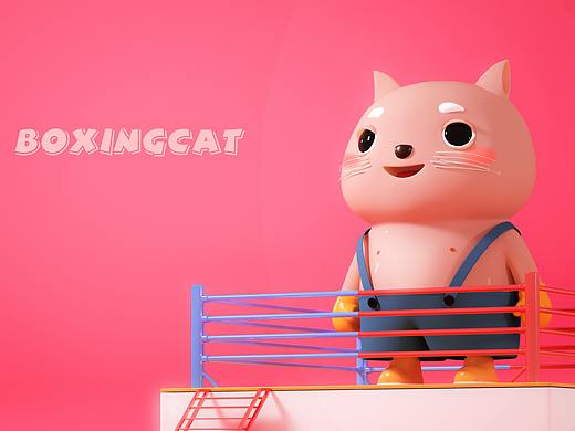 拳击台上的大脸猫