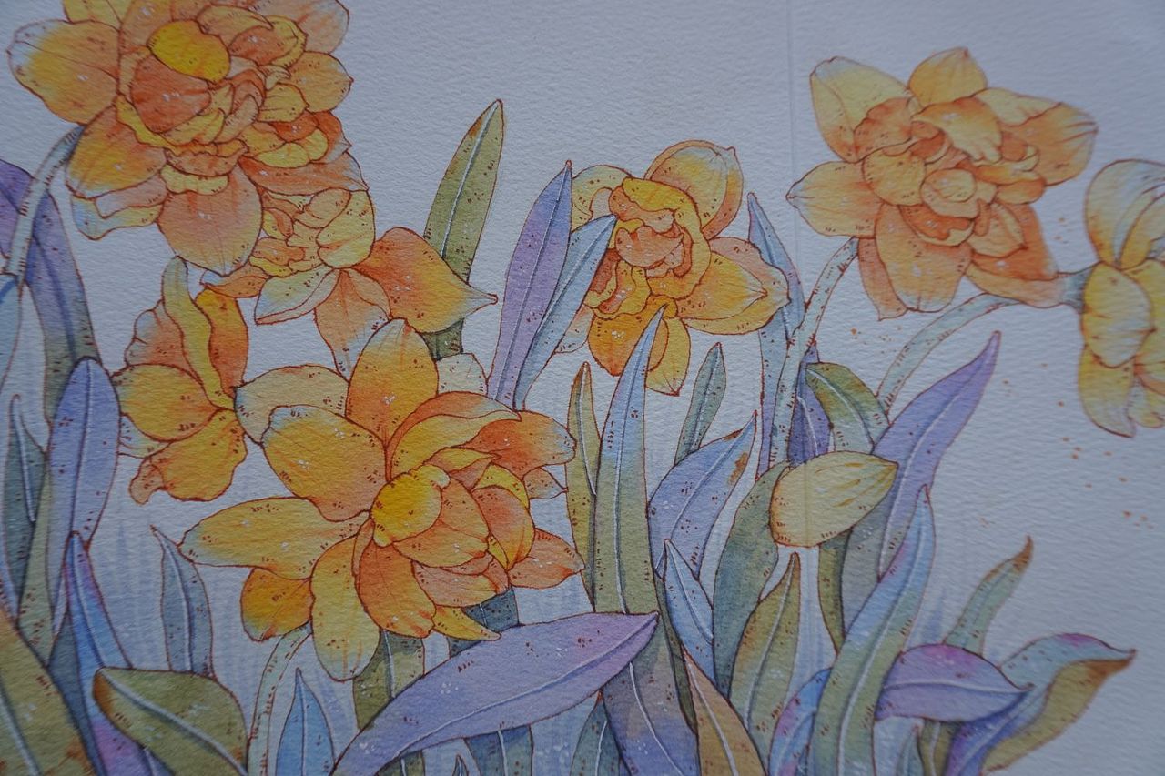 水彩——重瓣水仙（图ZMzI2MDAwMDg0） - 创作习作 - 站酷设计师麦可南原创素材 - 站酷ZCOOL