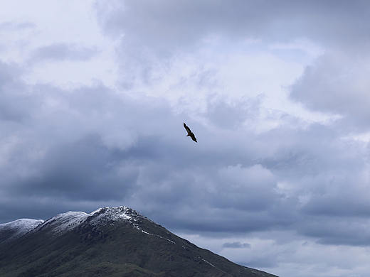 5月的新都橋-色達(dá)-稻城之陰天（個人主頁-ZMjgzODc4MjA=） - 風(fēng)光攝影 - 站酷設(shè)計師練習(xí)奔跑的蝸牛原創(chuàng)素材 - 站酷ZCOOL