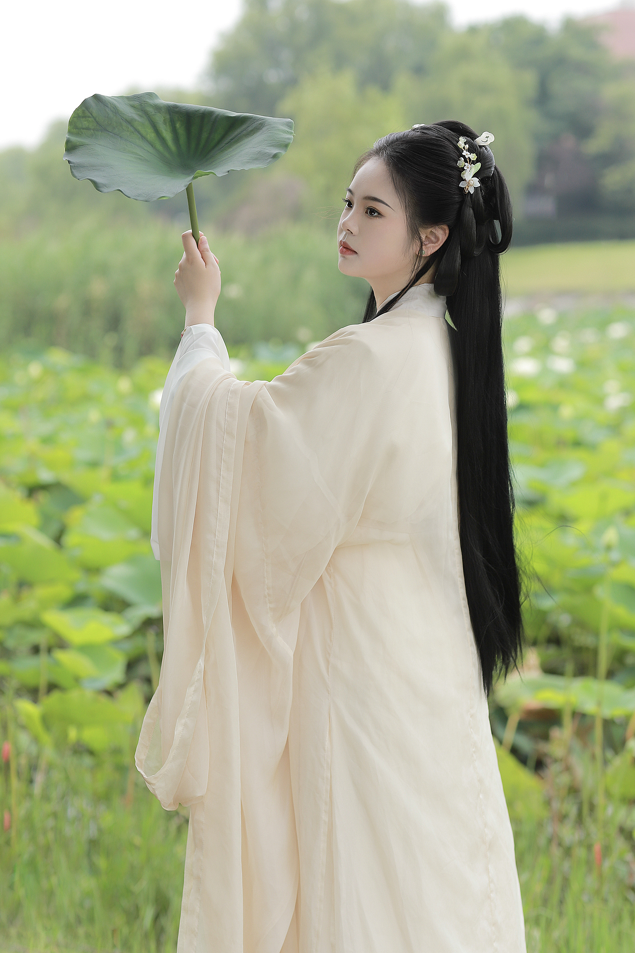 客片|竹色溪下绿 荷花镜里香