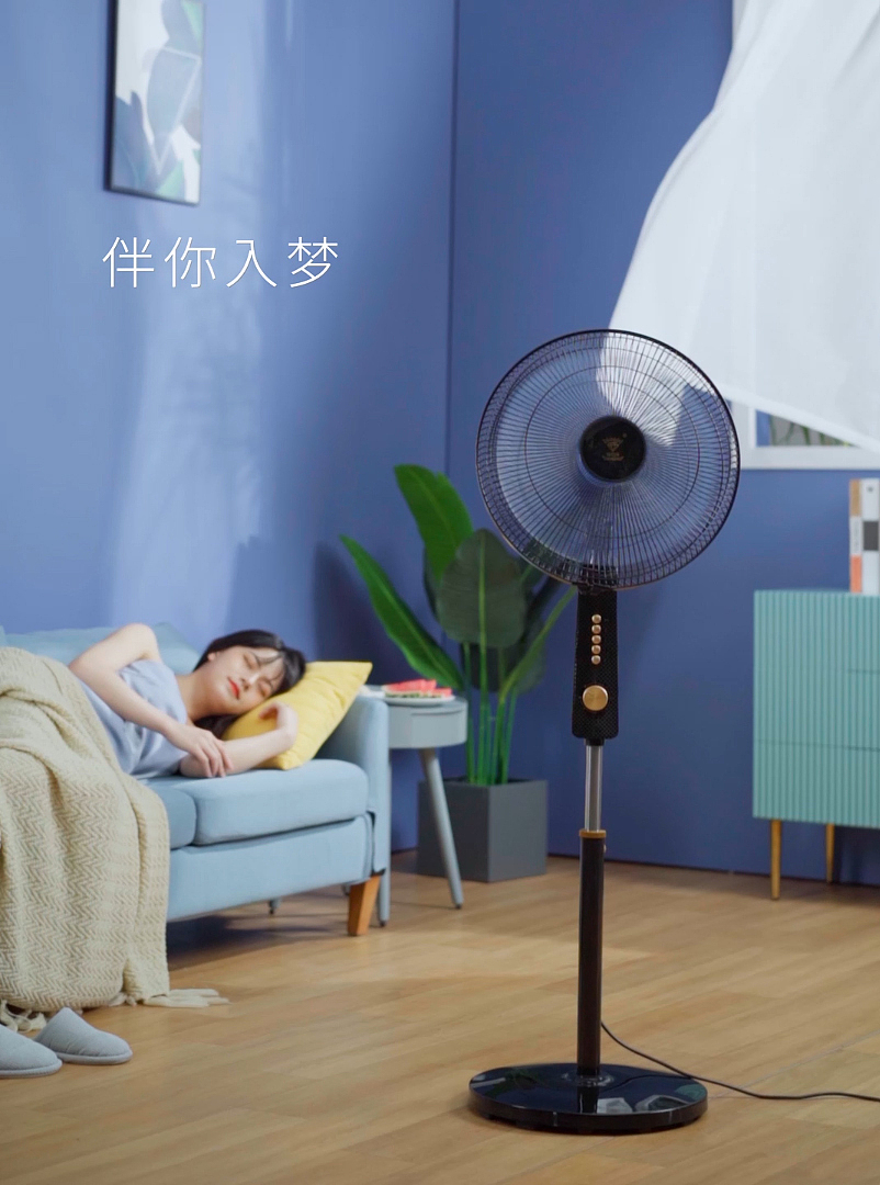 SeekRoots ◉〖两季风扇主图视频策划〗