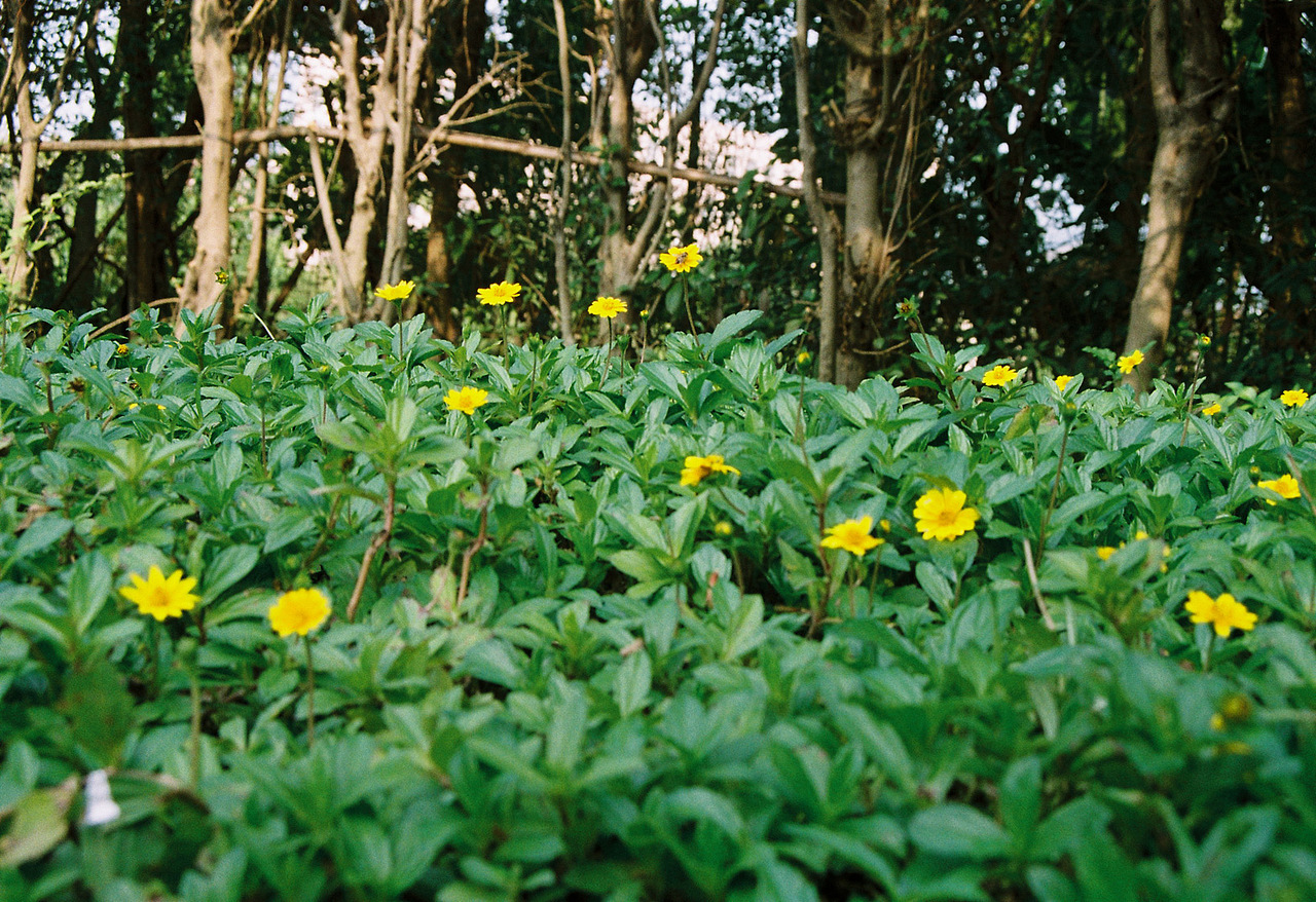 胶片的味道，小白入门（图ZNDAwODI1MjQ=） - 人文/纪实摄影 - 站酷设计师BigJ大杰原创素材 - 站酷ZCOOL