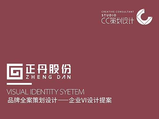 企业VI设计提案