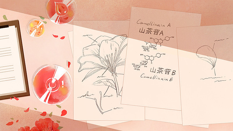 【舒蕾SLEK】2018新年插画OTV（图ZMTA5ODYxMDA0） - 短片 - 站酷设计师方块阿兽原创素材 - 站酷ZCOOL