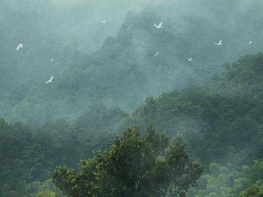 空山新雨后