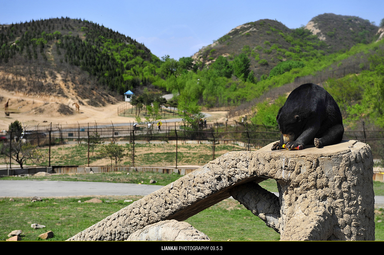 野生动物园随拍