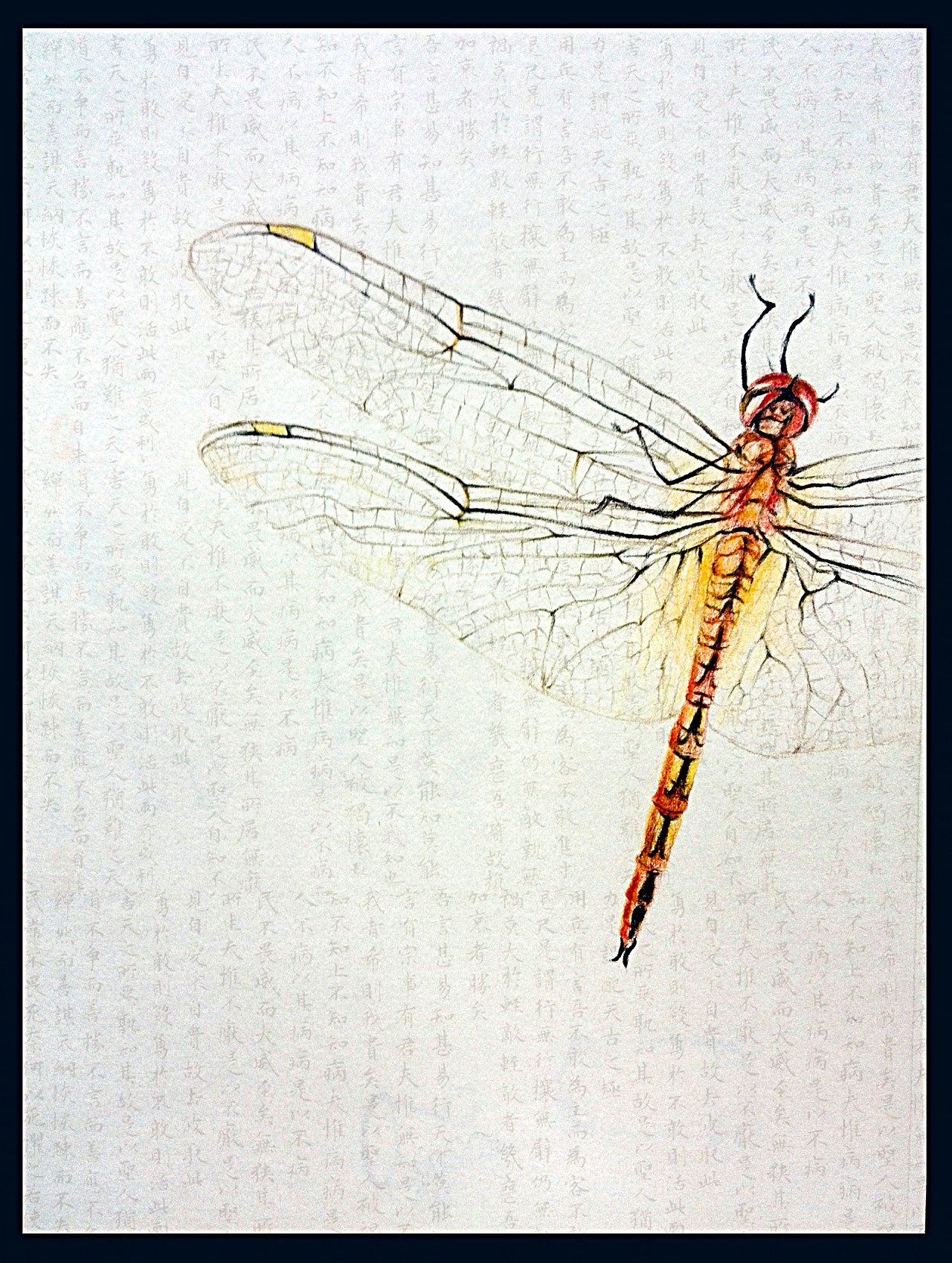 手繪系列插畫/蜻蜓（圖ZMjc4MDM0NzI=） - 商業(yè)插畫 - 站酷設計師鹿角巫師原創(chuàng)素材 - 站酷ZCOOL