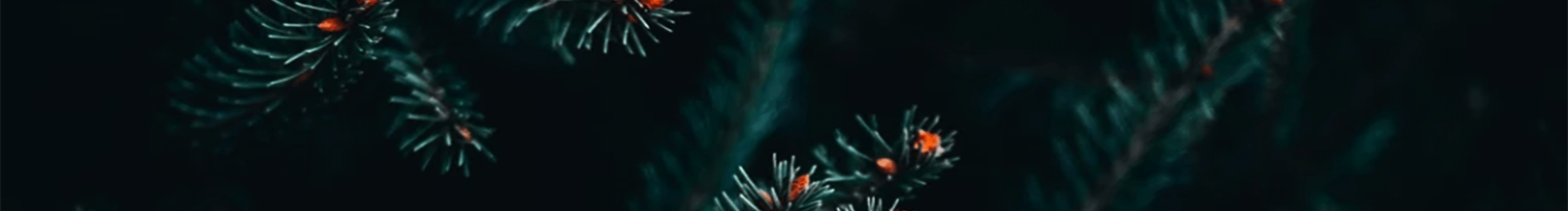 设计心得的个人主页（背景预览） - 主页背景设置 - 站酷设计师设计心得原创素材 - 站酷ZCOOL