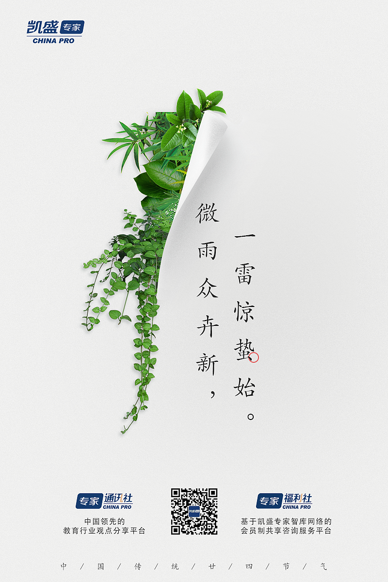 节日节气借势海报（图ZMTY3MzgxNzQw） - 海报 - 站酷设计师玖局下半原创素材 - 站酷ZCOOL