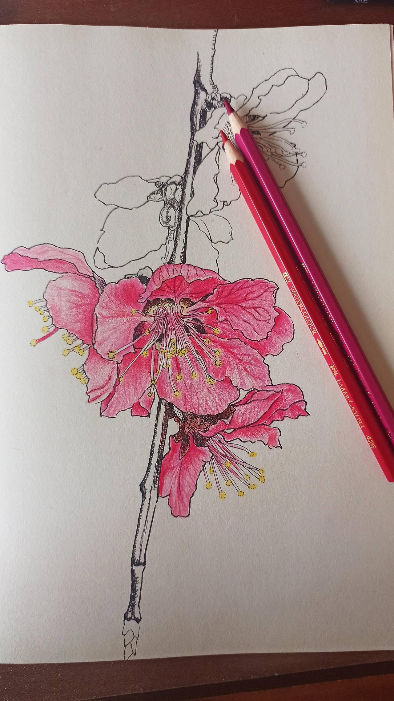 针管笔｜油画棒｜彩铅