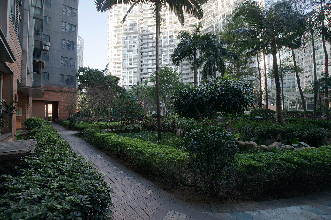 宝体 泰华 君逸世家 留念 2021 01 02（图ZMjM4MjExODM2） - 风光摄影 - 站酷设计师森林会展原创素材 - 站酷ZCOOL